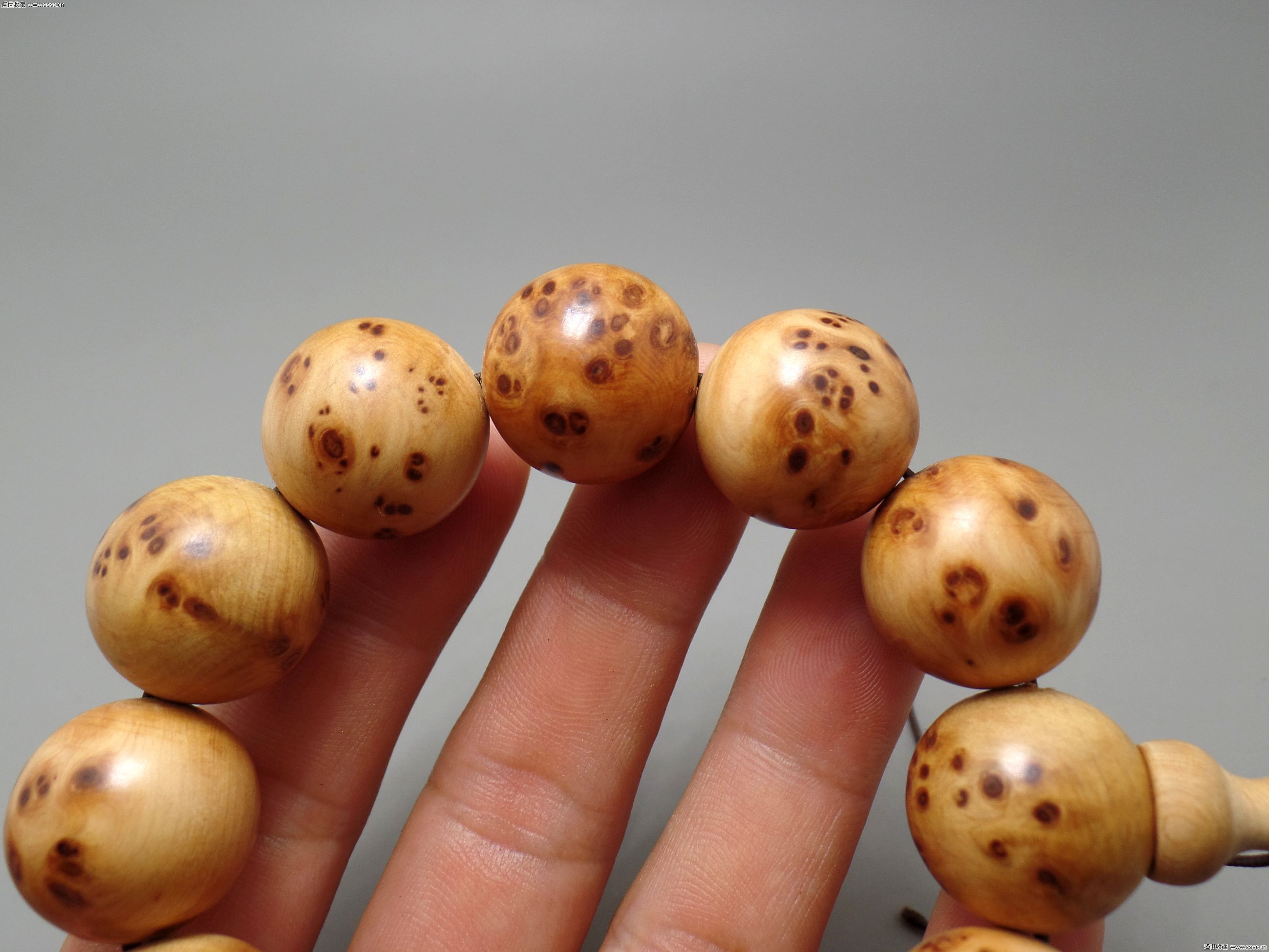 【beat365亚洲体育官方网站】成都家长们注意小朋友新社保卡这样领(图2) beat365官网