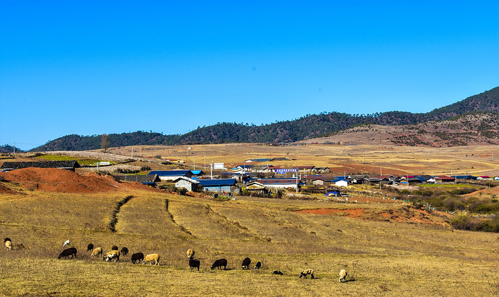 中药乳腺贴贴牌加工定制价格OEM贴牌应注意什么:beat365亚洲体育官方网站(图4) beat365官网