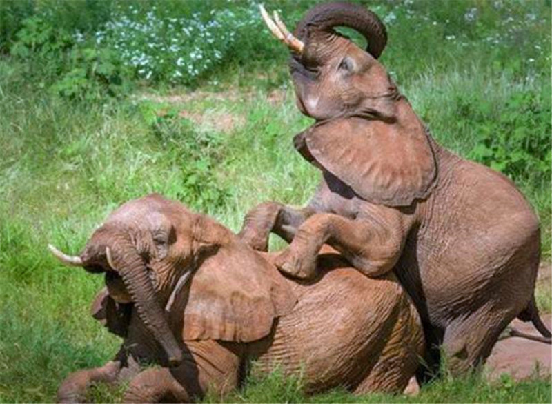 beat365亚洲体育官方网站