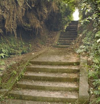 beat365亚洲体育官方网站