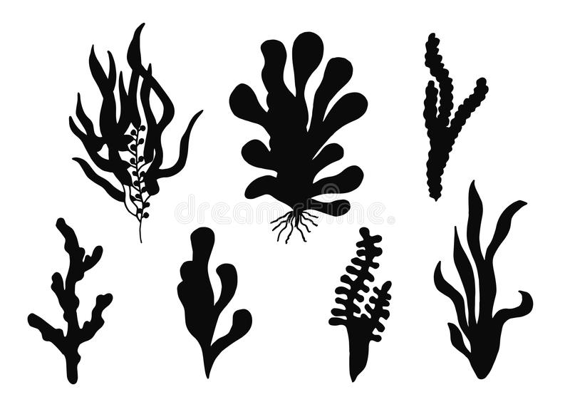 beat365亚洲体育官方网站