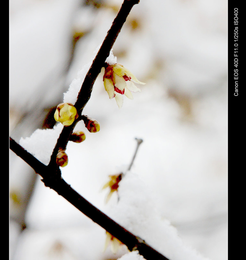 beat365亚洲体育官方网站