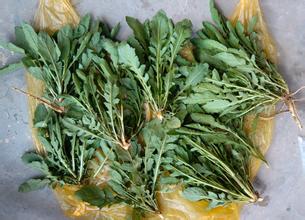 beat365亚洲体育官方网站