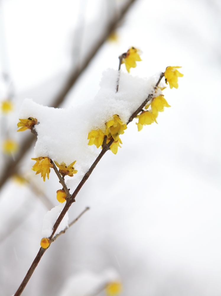 beat365亚洲体育官方网站