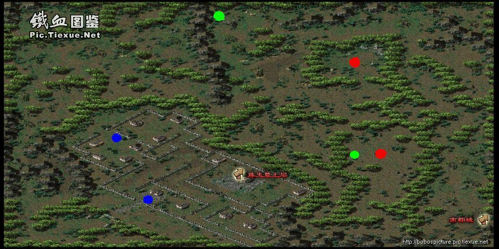 人参竟有四大美容功效,真是太不可思议了【beat·365】(图2) beat365官网