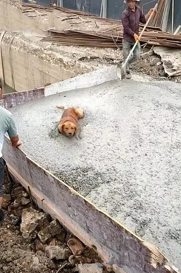 四种中医体质的女性容易不孕-beat·365(图3) beat·365