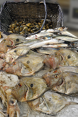 beat365官网:携手共进砥砺前行——濮阳市南乐县西湖幼儿园到濮阳市登月幼儿园跟岗学习(图3) beat365亚洲体育官方网站