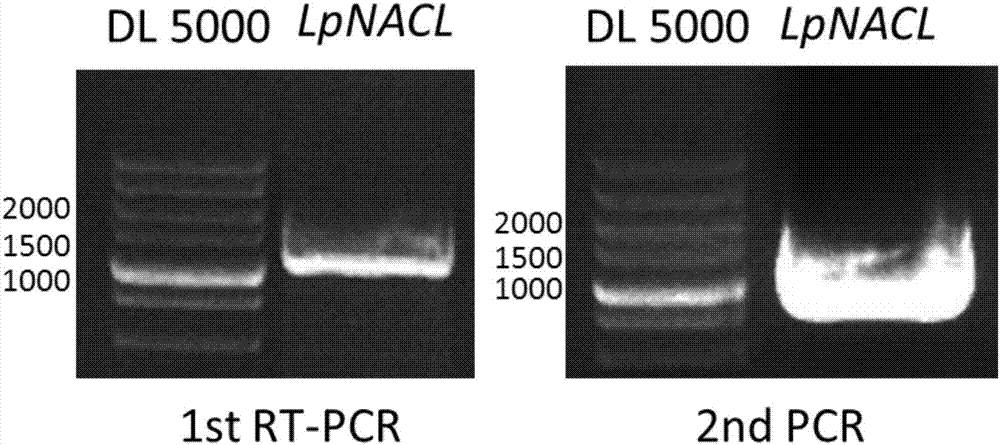 卫生部:诊疗费超千元须先行告知 患者有知情权“beat365官网”(图2) beat365亚洲体育官方网站