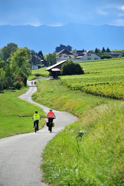 “beat·365”四川省法治教育考察团到经开实小参观青少年法治训练营(图4) beat·365