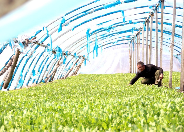 beat365亚洲体育官方网站