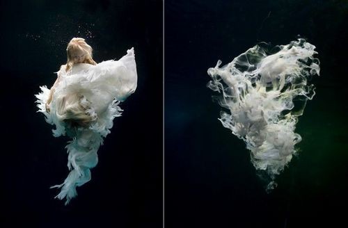 beat365亚洲体育官方网站|2014静安区南阳实验幼儿园全面招生简章参考(图1) beat365官网