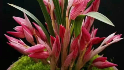 2018年度网络游戏排行榜!没玩过这些你就OUT了!-beat365亚洲体育官方网站(图2) beat365亚洲体育官方网站