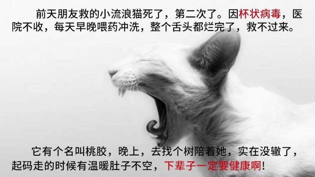 beat365亚洲体育官方网站